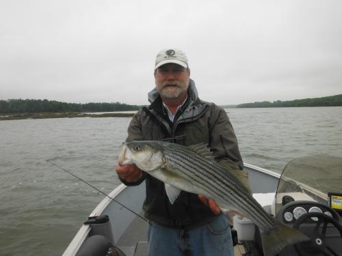 Saint George River Striper