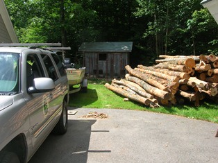 woodpile, dog kennel and Lund Alaskan